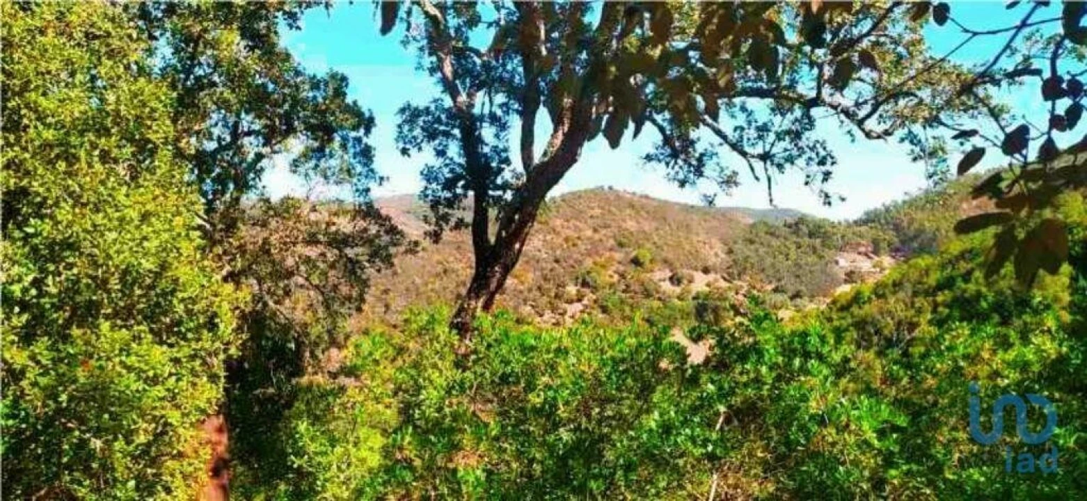 Terreno para Venda em Marmelete Foto 13