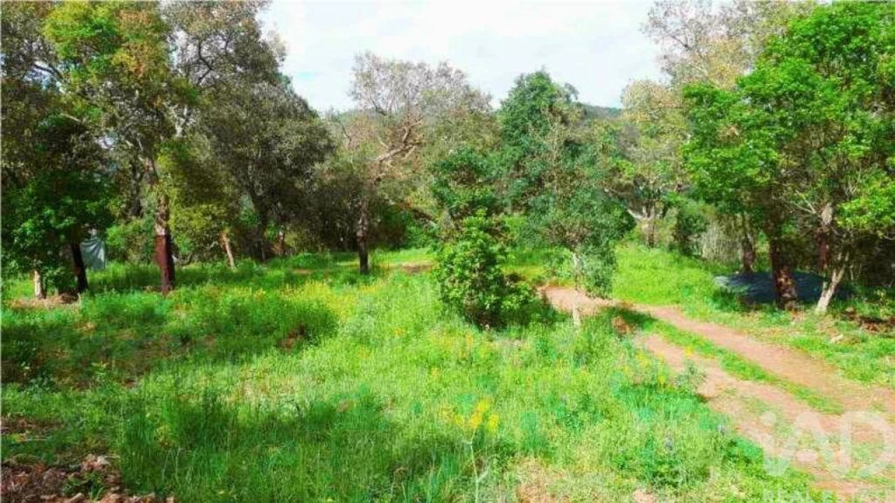 Terreno para Venda em Marmelete Foto 30