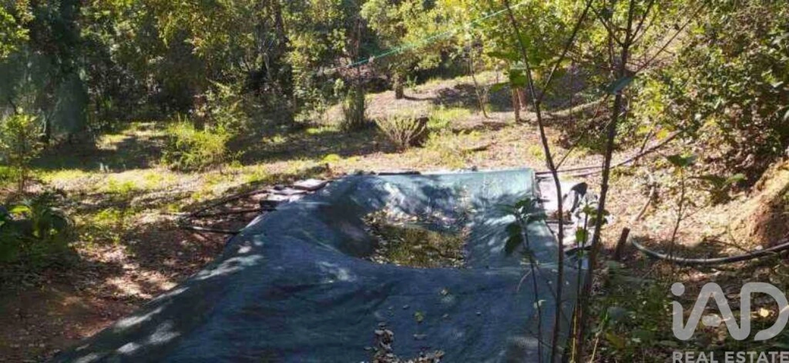 Terreno para Venda em Marmelete Foto 19