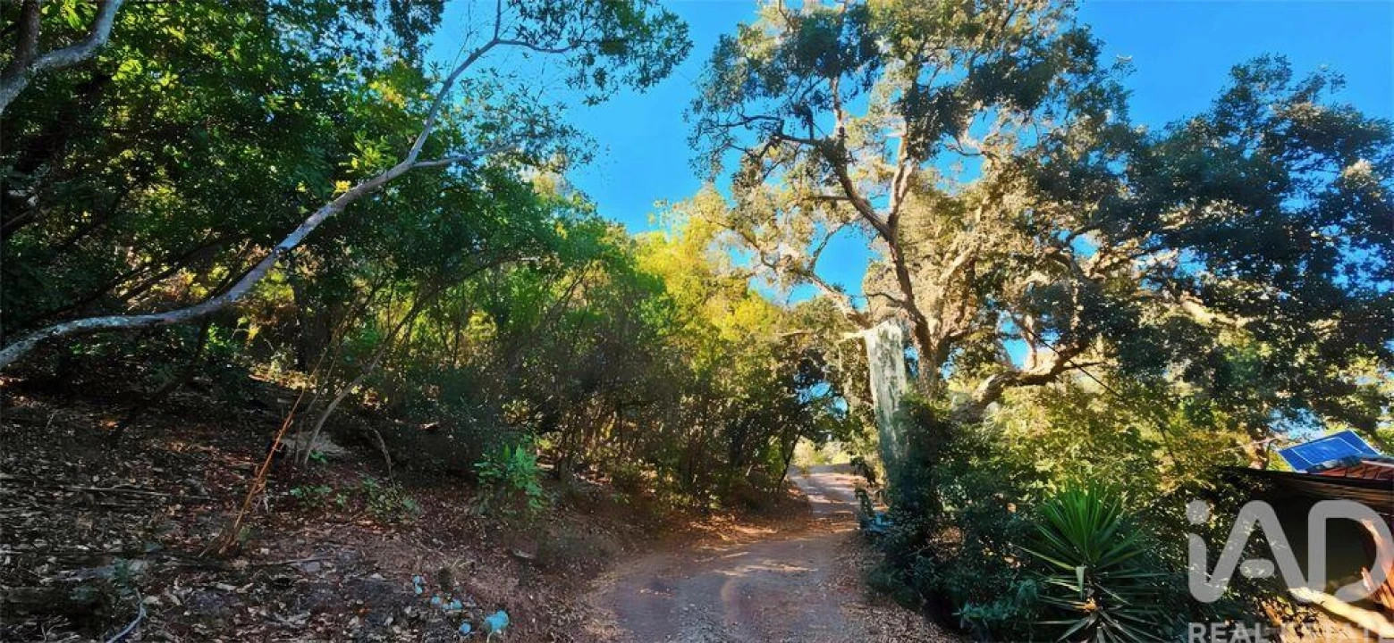 Terreno para Venda em Marmelete Foto 26