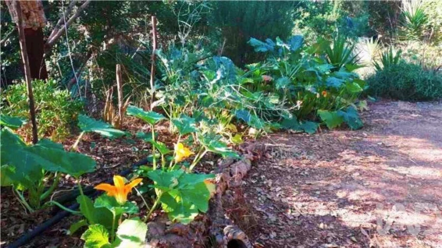 Terreno para Venda em Marmelete Foto 21