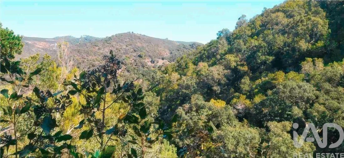 Terreno para Venda em Marmelete Foto 28