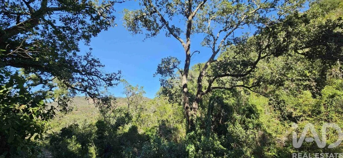 Terreno para Venda em Marmelete Foto 24