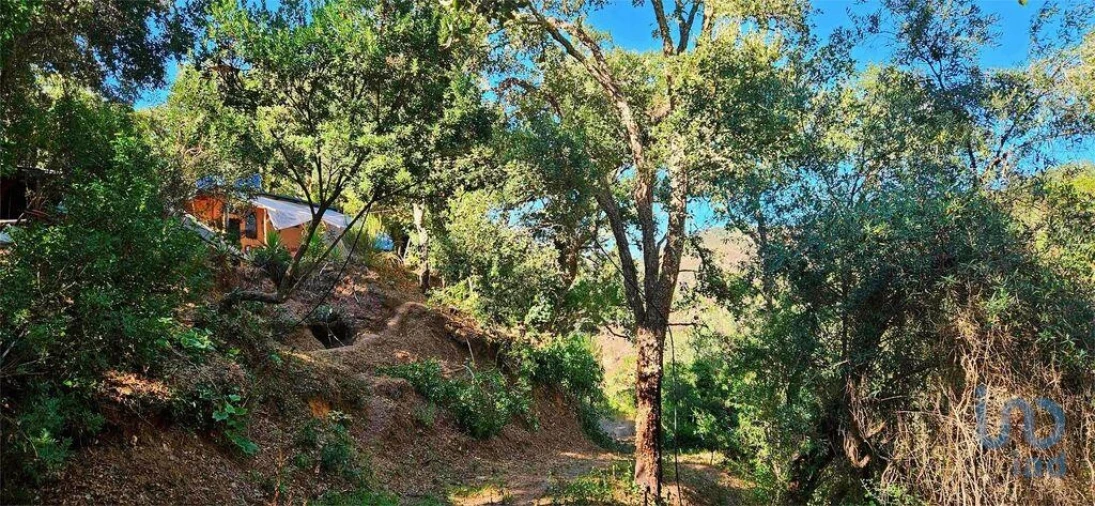 Terreno para Venda em Marmelete Foto 7