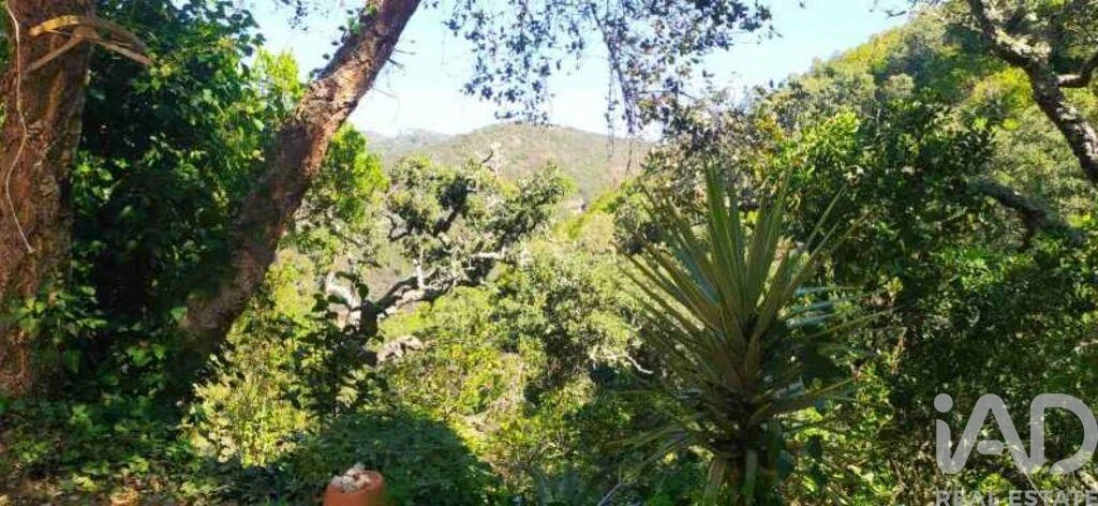 Terreno para Venda em Marmelete Foto 29