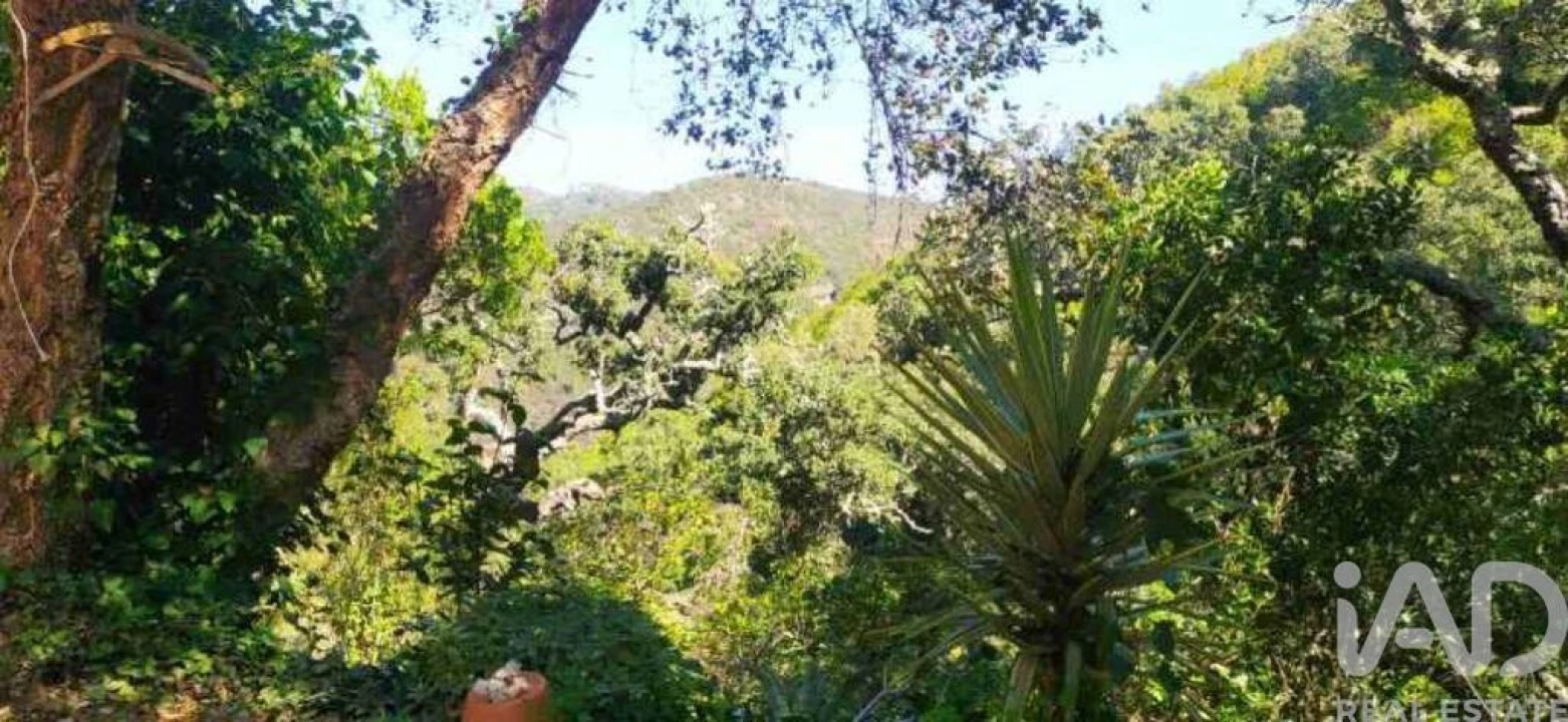 Terreno para Venda em Marmelete Foto 29