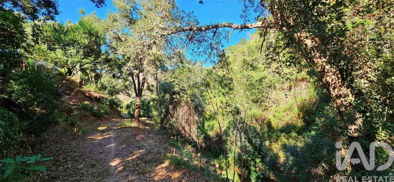 Terreno para Venda em Marmelete Foto 27