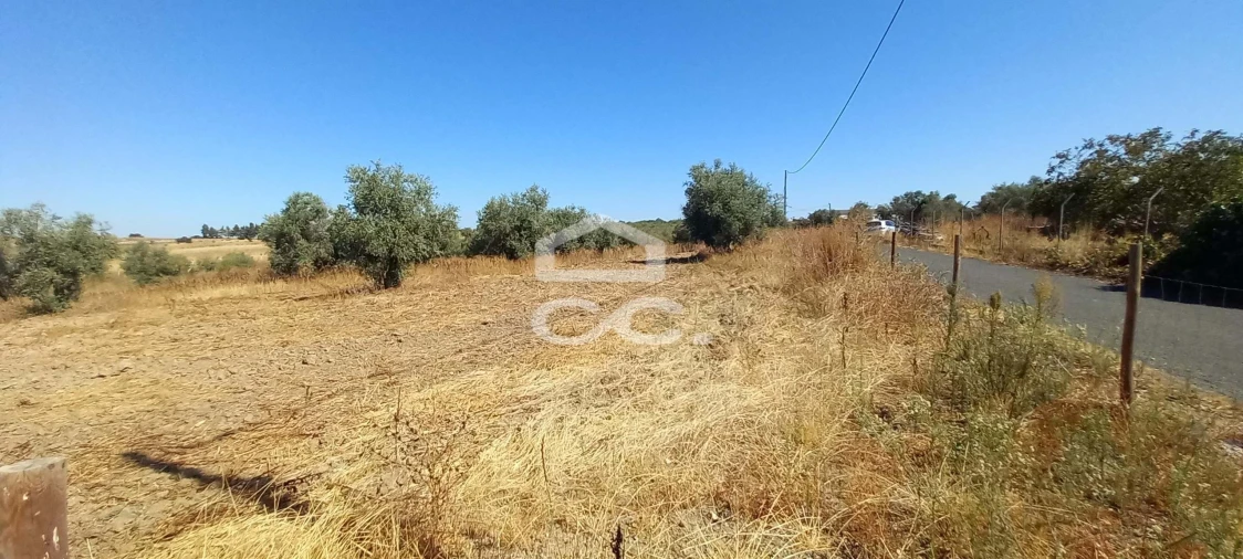 Terreno para Venda em Beringel Foto 2