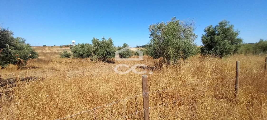 Terreno para Venda em Beringel Foto 4