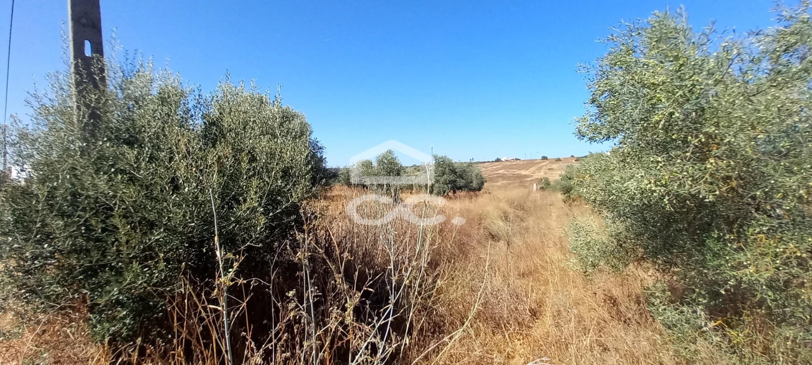 Terreno para Venda em Beringel Foto 8