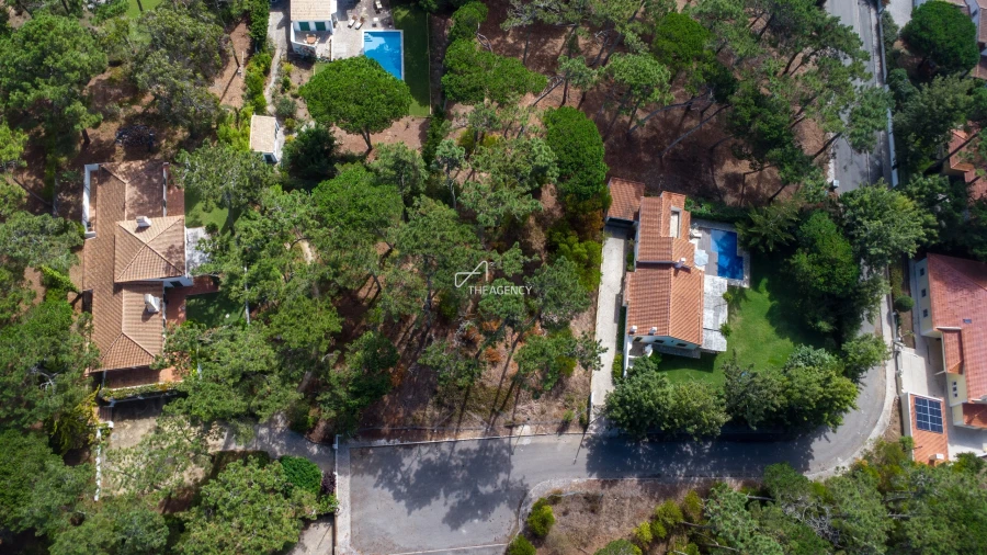 Terreno para Venda em Colares Foto 3