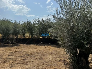 Terreno para Venda em Freixial e Juncal do Campo