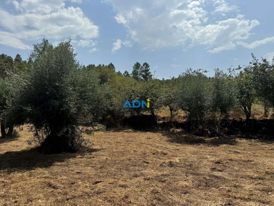 Terreno para Venda em Freixial e Juncal do Campo Foto 1