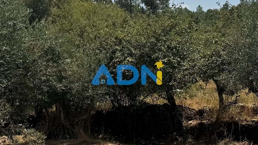 Terreno para Venda em Freixial e Juncal do Campo