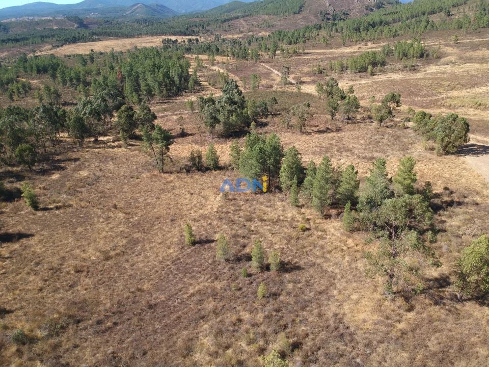 Terreno para Venda em Freixial e Juncal do Campo Foto 3
