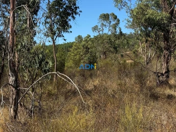 Terreno para Venda em Freixial e Juncal do Campo