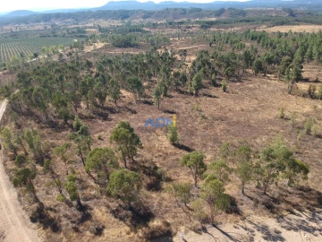 Terreno para Venda em Freixial e Juncal do Campo