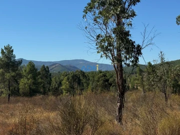 Terreno para Venda em Freixial e Juncal do Campo