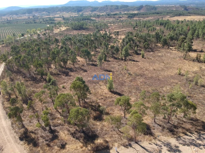 Terreno para Venda em Freixial e Juncal do Campo Foto 5
