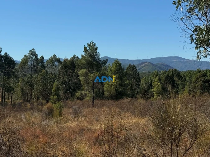 Terreno para Venda em Freixial e Juncal do Campo Foto 7
