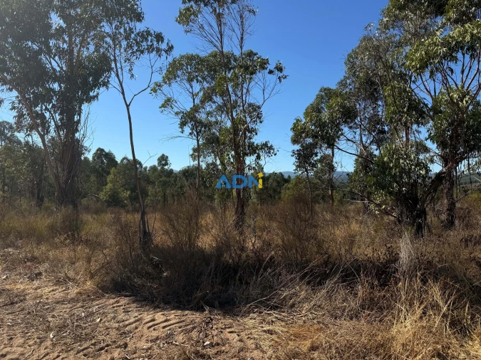Terreno para Venda em Freixial e Juncal do Campo Foto 6