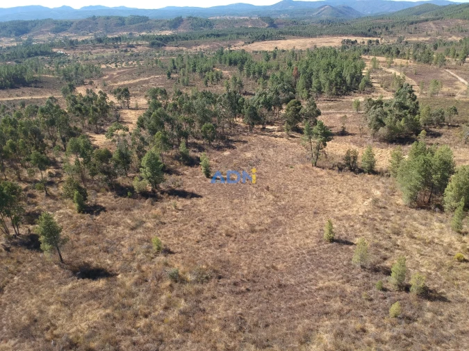 Terreno para Venda em Freixial e Juncal do Campo Foto 4
