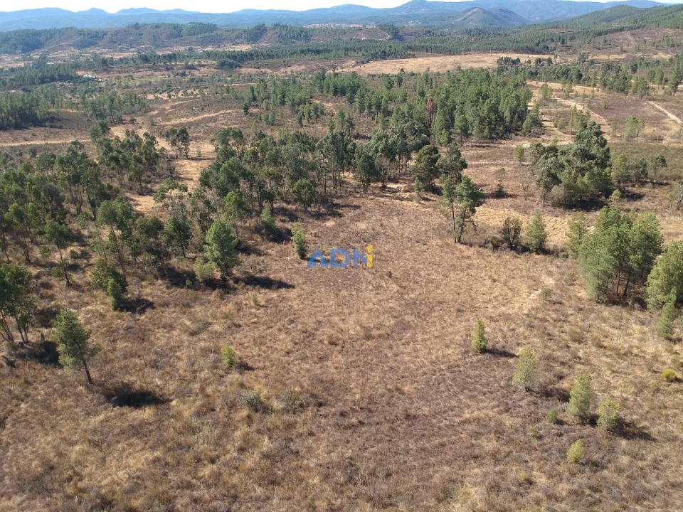 Terreno para Venda em Freixial e Juncal do Campo Foto 4