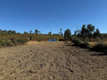 Terreno para Venda em Freixial e Juncal do Campo