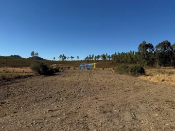 Terreno para Venda em Freixial e Juncal do Campo