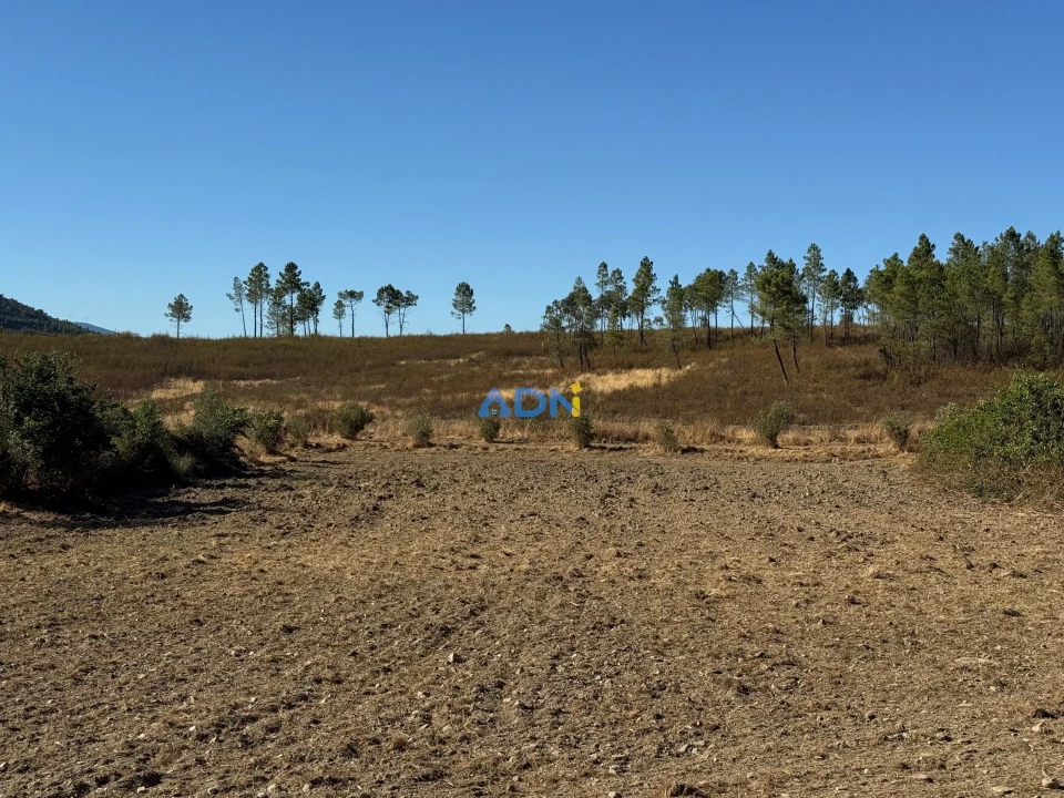 Terreno para Venda em Freixial e Juncal do Campo Foto 9
