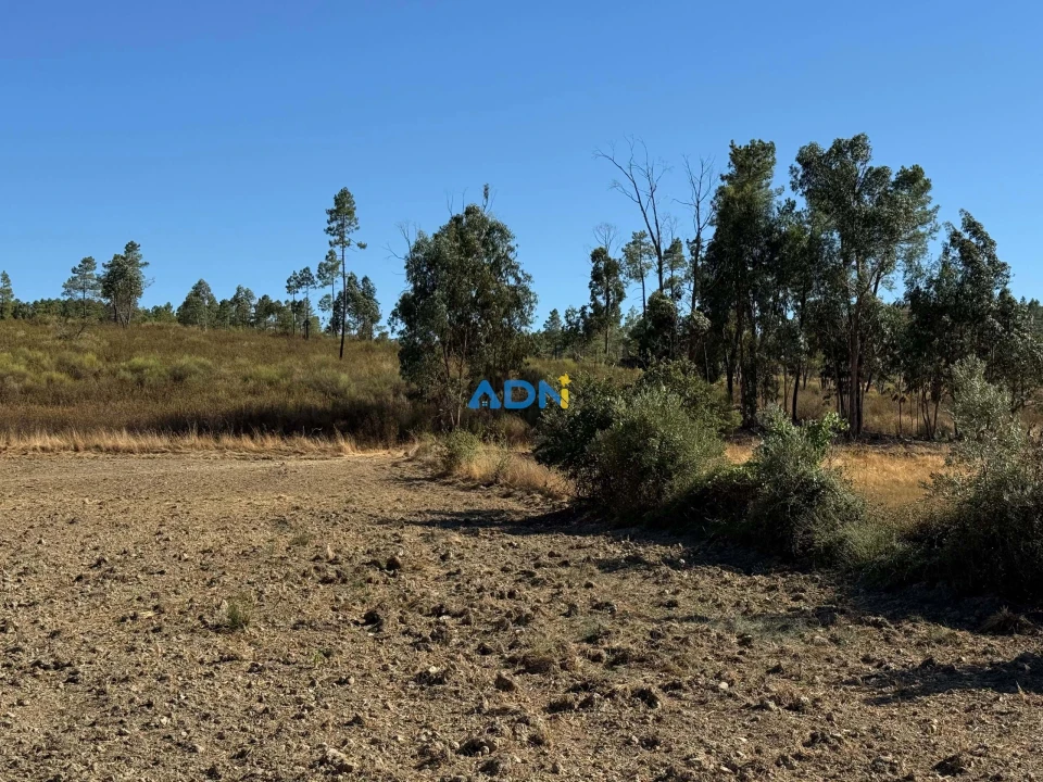 Terreno para Venda em Freixial e Juncal do Campo Foto 6