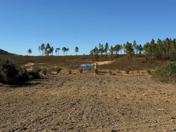 Terreno para Venda em Freixial e Juncal do Campo Foto 9