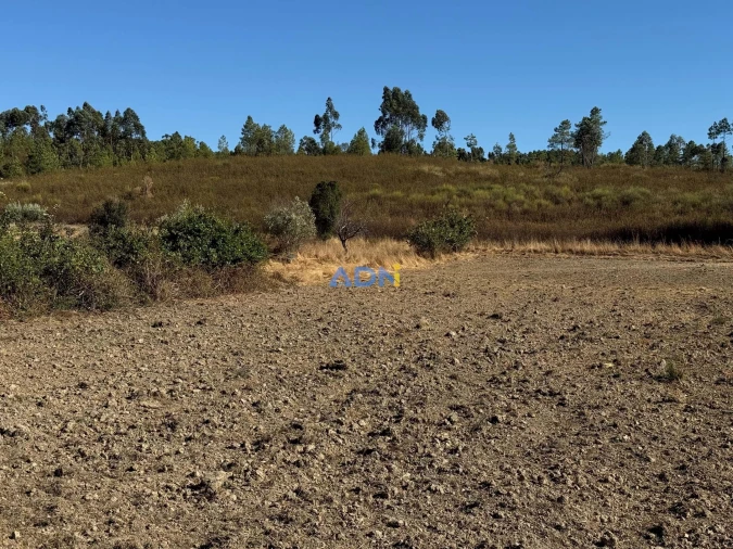 Terreno para Venda em Freixial e Juncal do Campo Foto 7