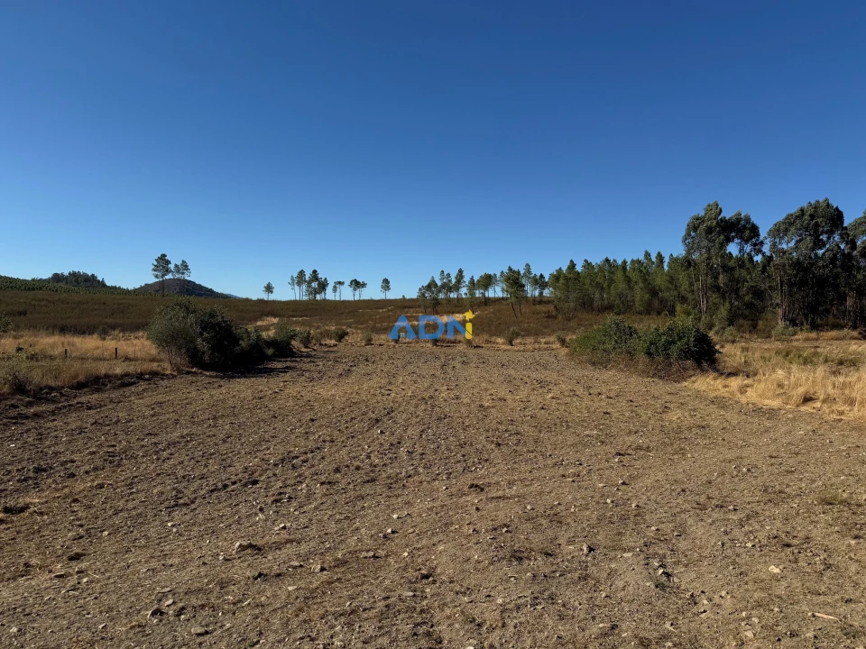 Terreno para Venda em Freixial e Juncal do Campo Foto 8
