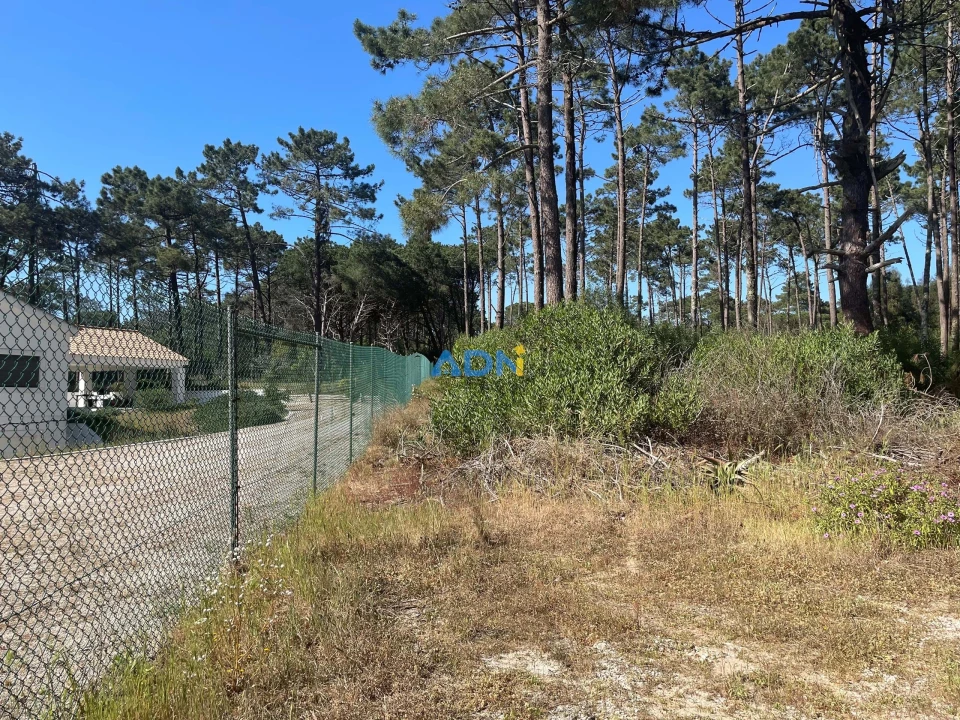 Terreno para Venda em Colares Foto 2