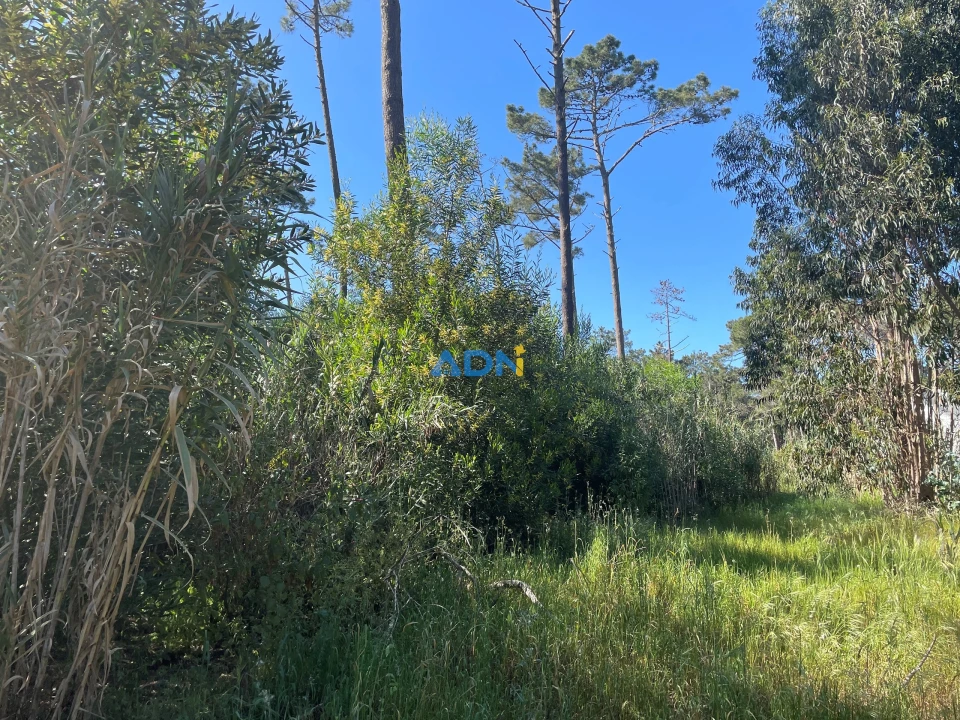 Terreno para Venda em Colares Foto 8