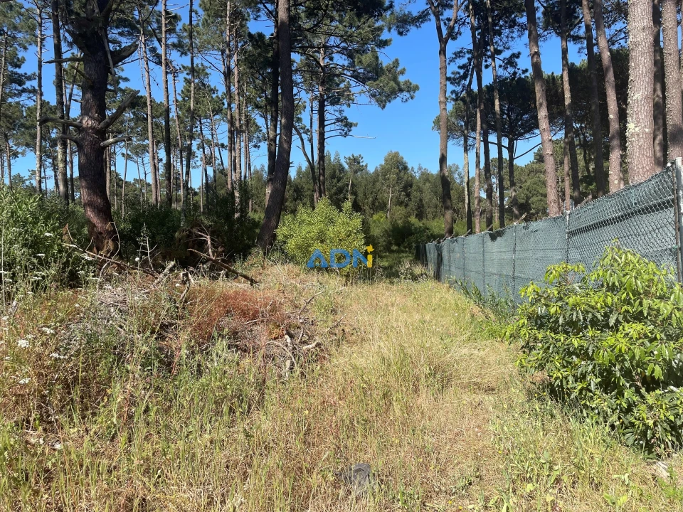 Terreno para Venda em Colares Foto 4
