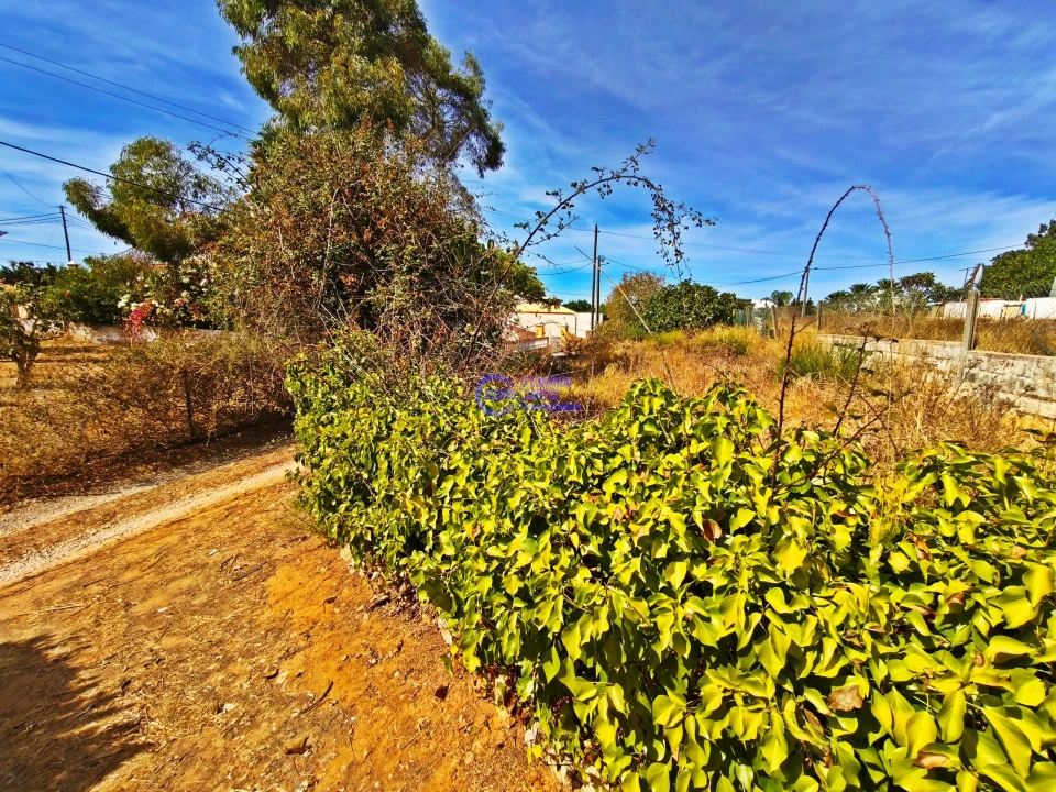 Quinta T2 para Venda em Lagoa e Carvoeiro Foto 27