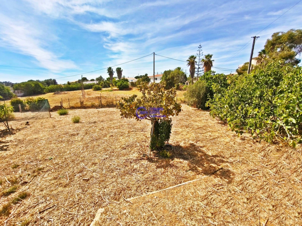 Quinta T2 para Venda em Lagoa e Carvoeiro Foto 20