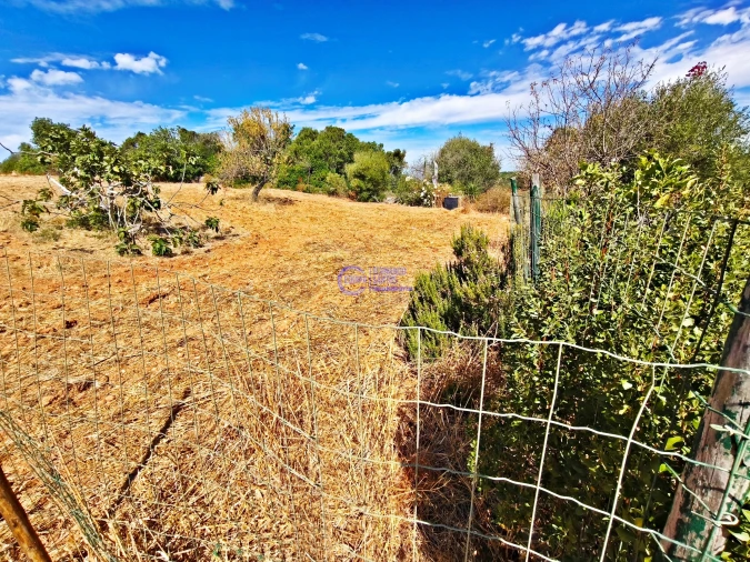 Quinta T6 para Venda em Armação de Pera Foto 33