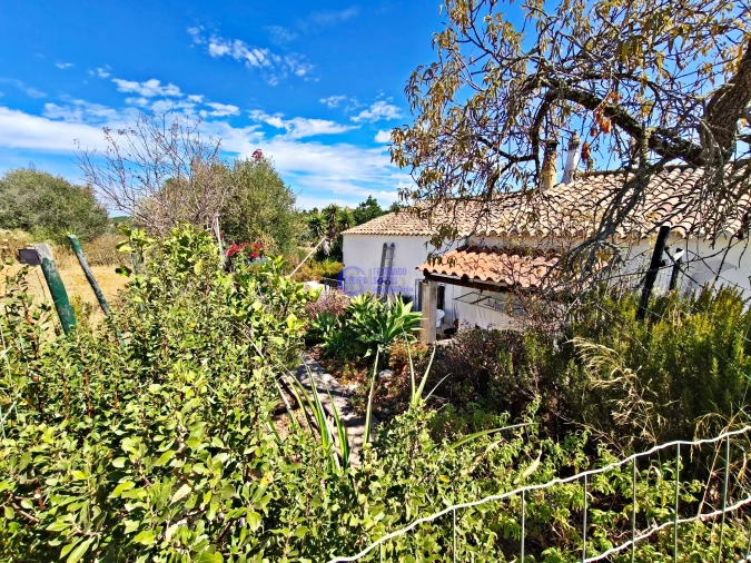 Quinta T6 para Venda em Armação de Pera Foto 32