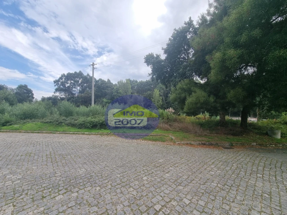 Terreno Agricola ou Rústico para Venda em Mozelos Foto 10