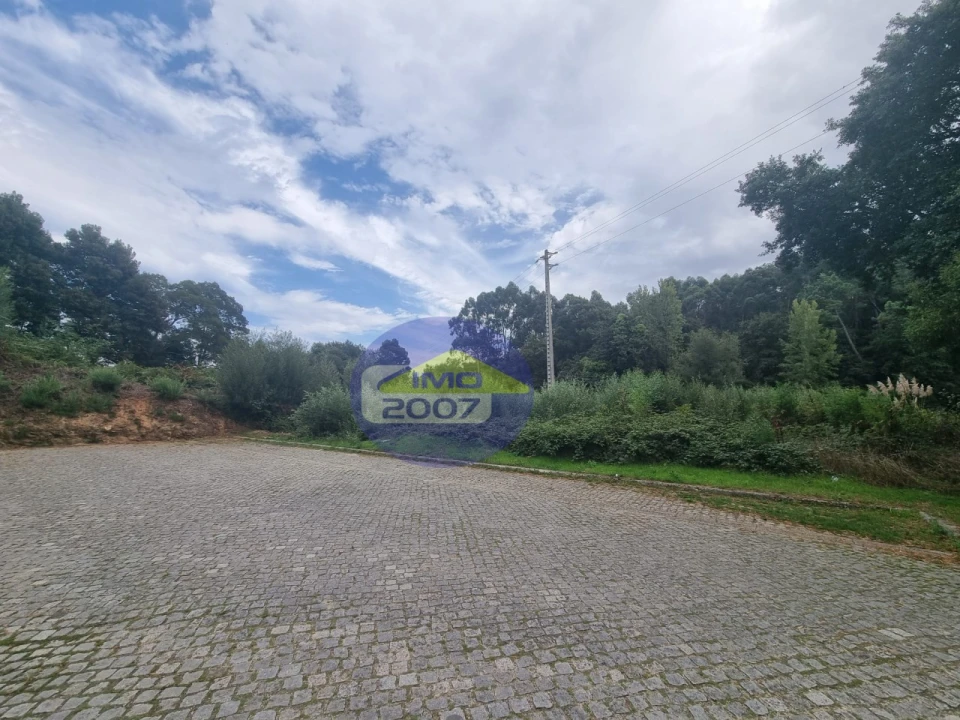 Terreno Agricola ou Rústico para Venda em Mozelos Foto 12