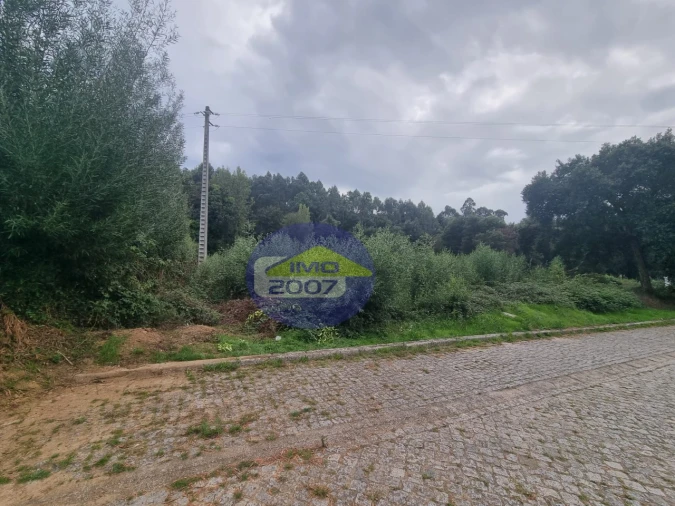 Terreno Agricola ou Rústico para Venda em Mozelos Foto 4