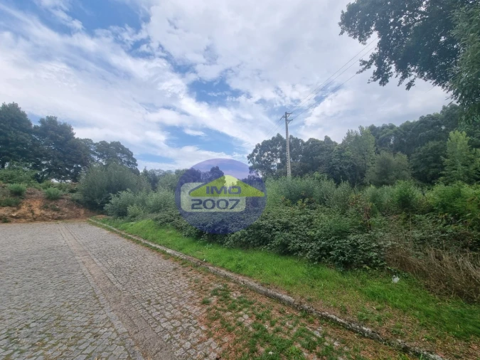Terreno Agricola ou Rústico para Venda em Mozelos Foto 9