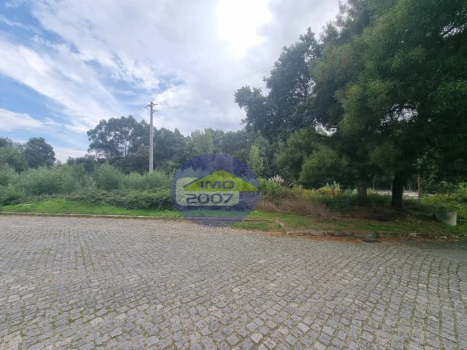 Terreno Agricola ou Rústico para Venda em Mozelos Foto 10
