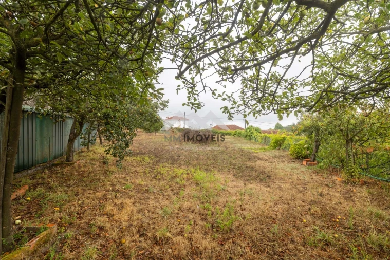 Quinta T3 para Venda em Monte Córdova Foto 37