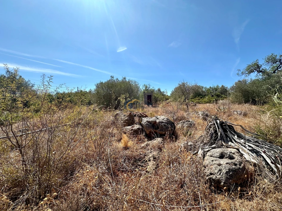 Terreno para Venda em São Bartolomeu de Messines Foto 16