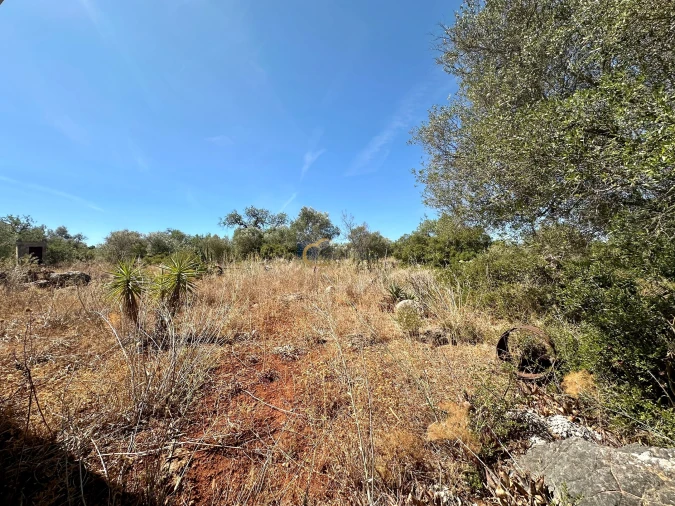 Terreno para Venda em São Bartolomeu de Messines Foto 20
