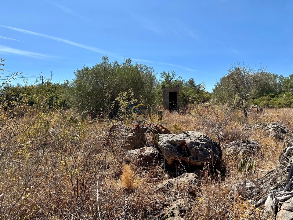 Terreno para Venda em São Bartolomeu de Messines Foto 18